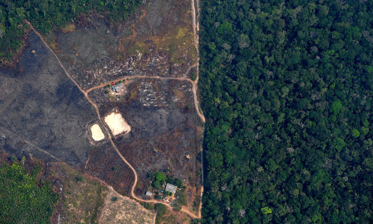 2020 foi mais um ano sombrio para o meio ambiente na América Latina